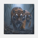Search for predators magnets Tigers