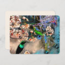 Search for spring equinox cards Seasons