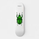 Search for bug skateboards Insect