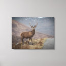 Search for deer stag canvas prints Scotland