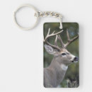 Search for white tail key rings Nature