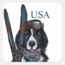 Search for usa ski stickers Skiing