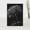 Search for chrysanthemums cards Nature