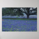 Search for devin art Nature