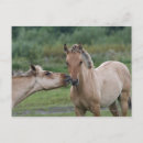 Search for west other Horse