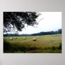 Search for bale posters Rural
