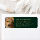 Search for with photo return address labels Image