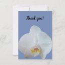 Search for phalaenopsis cards White