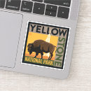 Search for white buffalo posters National park