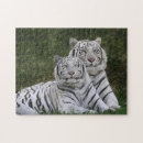 Search for white tiger puzzles Bengal