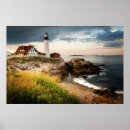 Search for head lighthouse Plant