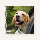 Search for labrador notebooks Pet