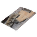 Search for best friend clipboards Bff