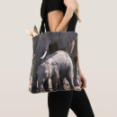 Search for young accessories Photography