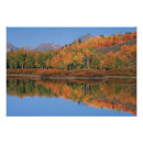 Search for dee art Scenic