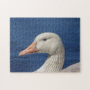 Search for goose puzzles Wildlife