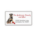 Search for rottweiler return address labels Pet