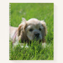 Search for cocker spaniel notebooks Cute