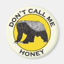 Search for honey badger magnets Animal