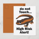 Search for salamander postcards Amphibian