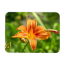 Search for lilies magnets Birthday