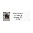 Search for wildlife return address labels Wild animal