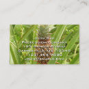 Search for tropics business cards Green