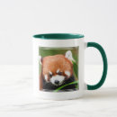 Search for chinese panda mugs Cute animals