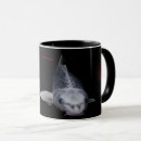 Search for carp fish mugs Nature