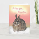 Search for cottontail cards Bunnies