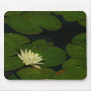 Search for pond mousepads Flower