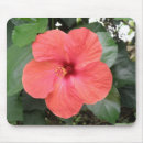 Search for hibiscus flower mousepads Pretty
