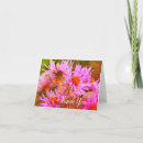Search for aster flower cards Floral