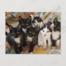 Search for black kitten postcards Cat