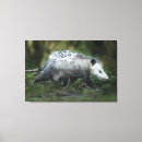 Search for wild child canvas prints Animal