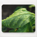 Search for wet mousepads Rain