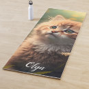 Search for ginger Kitty cat