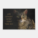 Search for funny cat doormats Pet