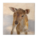 Search for deer antlers tiles Wildlife
