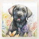 Search for black labrador coasters Retriever