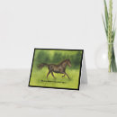 Search for equines cards Riding