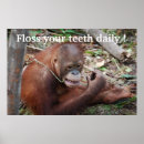 Search for dental floss posters Cute