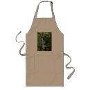 Search for waterfall aprons Nature