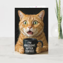 Search for fun cat birthday cards Pet