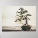 Search for bonsai tree posters Garden