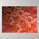Search for cell inside Bloodstream