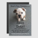 Search for english bulldog invitations Party