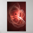 Search for develop posters Life