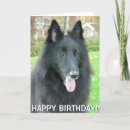 Search for belgian shepherds cards Groenendael