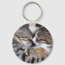 Search for hug pet key rings Cute